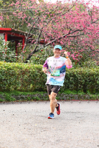2026左岸竹東櫻花馬拉松Zhudong Sakura Marathon