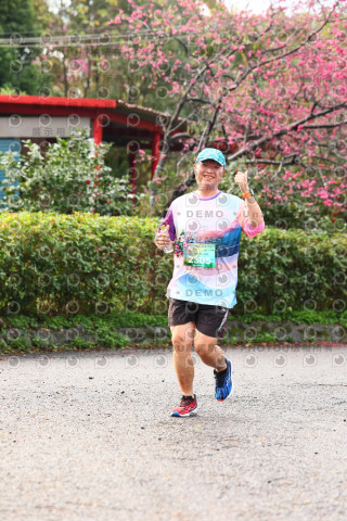 2026左岸竹東櫻花馬拉松Zhudong Sakura Marathon