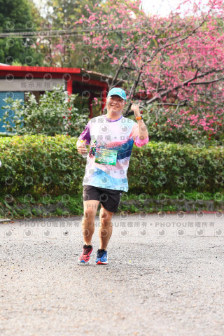 2026左岸竹東櫻花馬拉松Zhudong Sakura Marathon