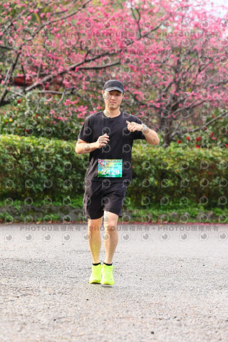 2026左岸竹東櫻花馬拉松Zhudong Sakura Marathon