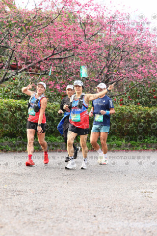 2026左岸竹東櫻花馬拉松Zhudong Sakura Marathon