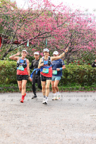 2026左岸竹東櫻花馬拉松Zhudong Sakura Marathon