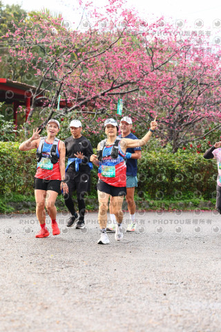 2026左岸竹東櫻花馬拉松Zhudong Sakura Marathon