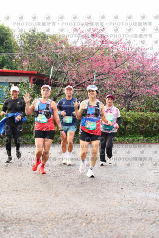 2026左岸竹東櫻花馬拉松Zhudong Sakura Marathon