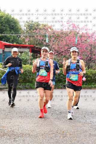 2026左岸竹東櫻花馬拉松Zhudong Sakura Marathon