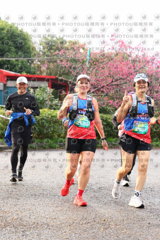 2026左岸竹東櫻花馬拉松Zhudong Sakura Marathon
