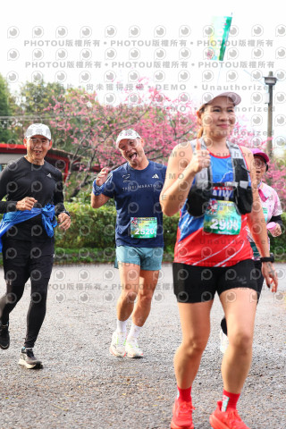 2026左岸竹東櫻花馬拉松Zhudong Sakura Marathon
