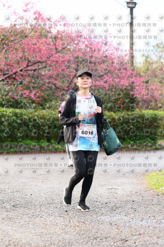 2026左岸竹東櫻花馬拉松Zhudong Sakura Marathon