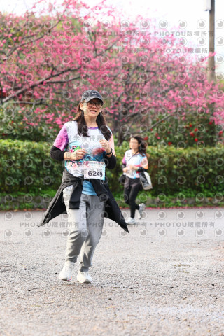 2026左岸竹東櫻花馬拉松Zhudong Sakura Marathon