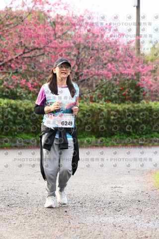 2026左岸竹東櫻花馬拉松Zhudong Sakura Marathon