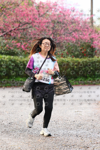 2026左岸竹東櫻花馬拉松Zhudong Sakura Marathon