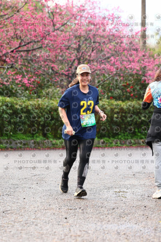 2026左岸竹東櫻花馬拉松Zhudong Sakura Marathon