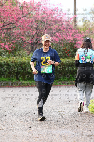 2026左岸竹東櫻花馬拉松Zhudong Sakura Marathon