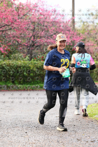 2026左岸竹東櫻花馬拉松Zhudong Sakura Marathon