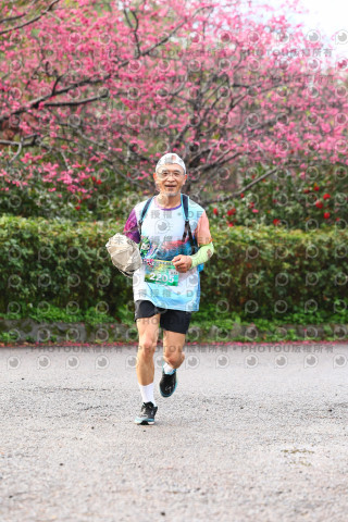 2026左岸竹東櫻花馬拉松Zhudong Sakura Marathon