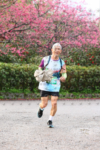 2026左岸竹東櫻花馬拉松Zhudong Sakura Marathon