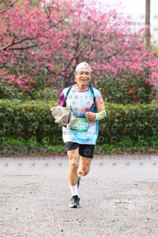 2026左岸竹東櫻花馬拉松Zhudong Sakura Marathon