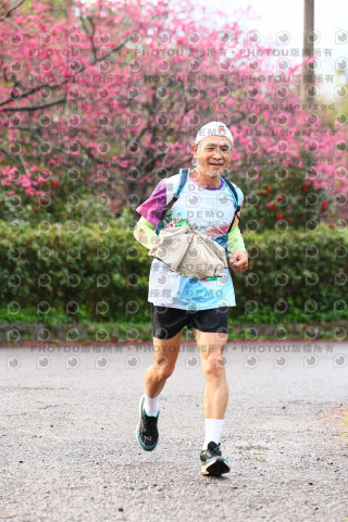 2026左岸竹東櫻花馬拉松Zhudong Sakura Marathon