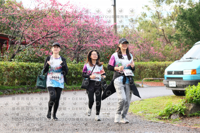 2026左岸竹東櫻花馬拉松Zhudong Sakura Marathon
