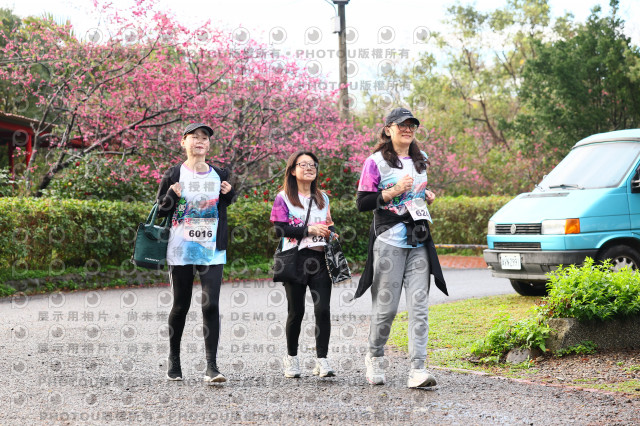 2026左岸竹東櫻花馬拉松Zhudong Sakura Marathon