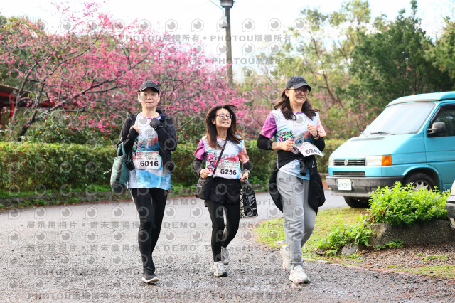 2026左岸竹東櫻花馬拉松Zhudong Sakura Marathon