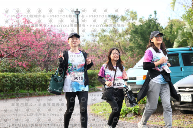 2026左岸竹東櫻花馬拉松Zhudong Sakura Marathon