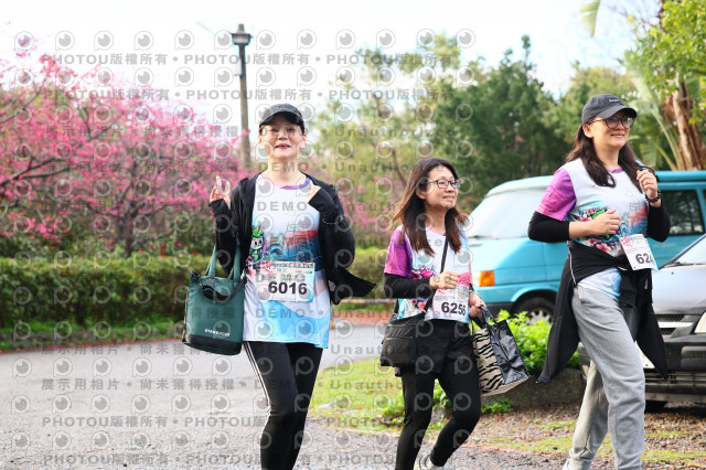 2026左岸竹東櫻花馬拉松Zhudong Sakura Marathon