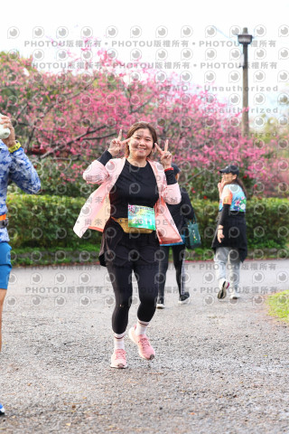 2026左岸竹東櫻花馬拉松Zhudong Sakura Marathon