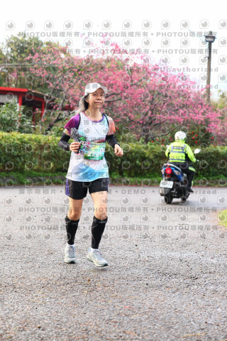 2026左岸竹東櫻花馬拉松Zhudong Sakura Marathon