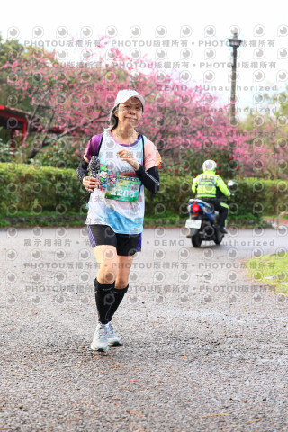 2026左岸竹東櫻花馬拉松Zhudong Sakura Marathon