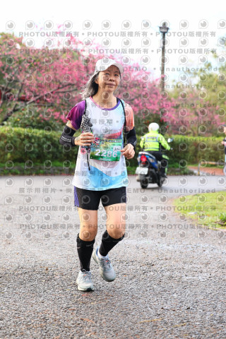 2026左岸竹東櫻花馬拉松Zhudong Sakura Marathon