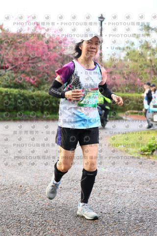 2026左岸竹東櫻花馬拉松Zhudong Sakura Marathon