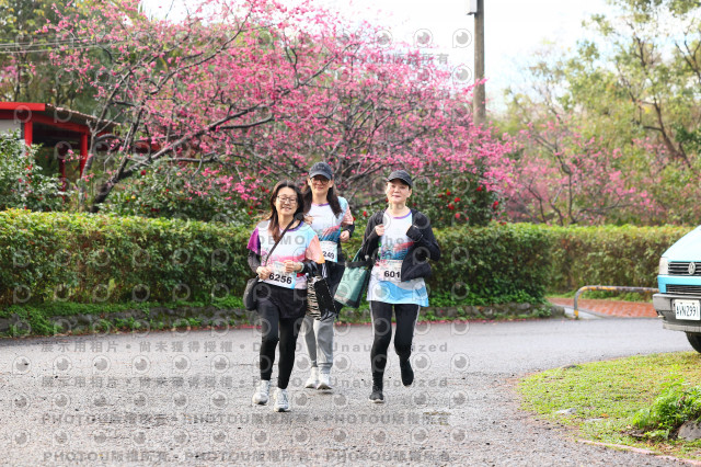 2026左岸竹東櫻花馬拉松Zhudong Sakura Marathon