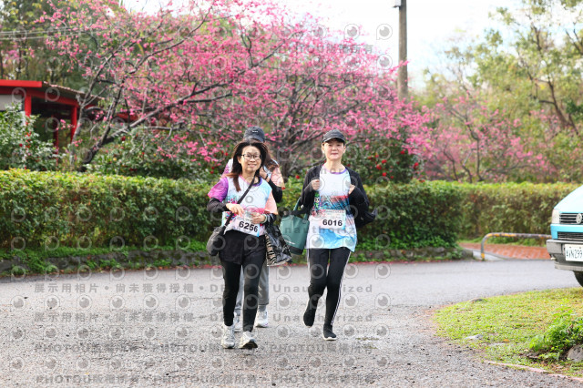 2026左岸竹東櫻花馬拉松Zhudong Sakura Marathon