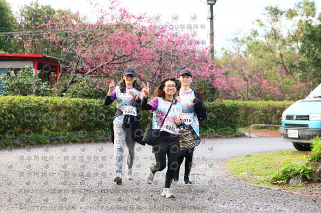 2026左岸竹東櫻花馬拉松Zhudong Sakura Marathon