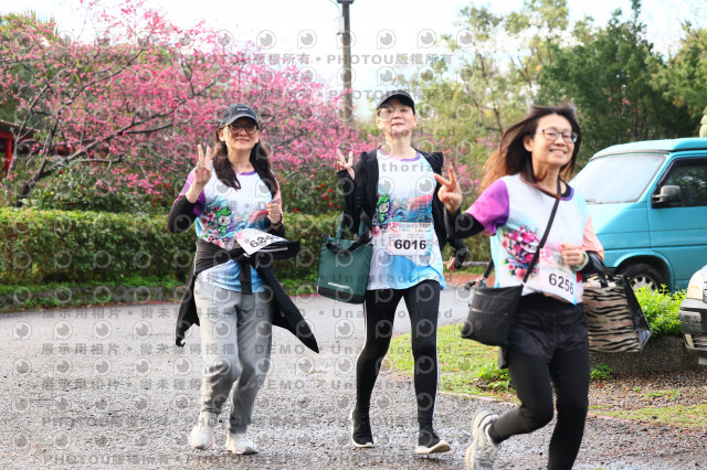 2026左岸竹東櫻花馬拉松Zhudong Sakura Marathon