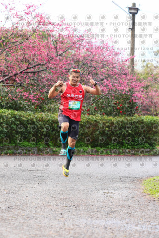 2026左岸竹東櫻花馬拉松Zhudong Sakura Marathon