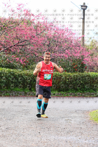 2026左岸竹東櫻花馬拉松Zhudong Sakura Marathon
