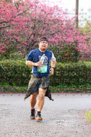 2026左岸竹東櫻花馬拉松Zhudong Sakura Marathon
