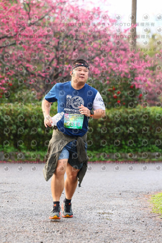 2026左岸竹東櫻花馬拉松Zhudong Sakura Marathon