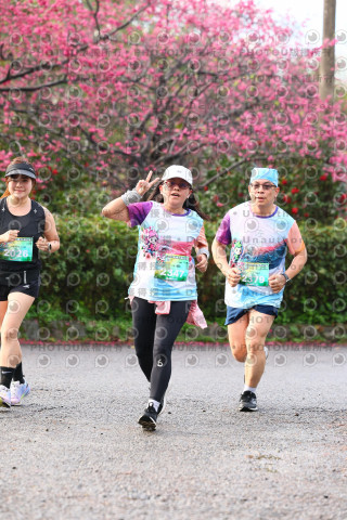 2026左岸竹東櫻花馬拉松Zhudong Sakura Marathon