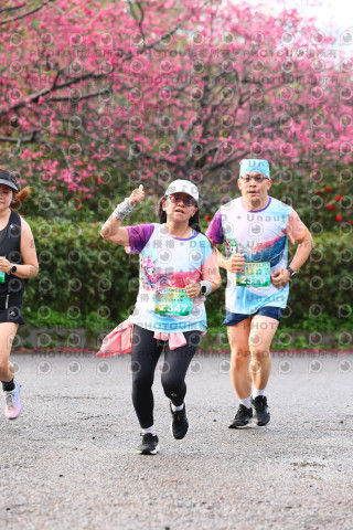 2026左岸竹東櫻花馬拉松Zhudong Sakura Marathon