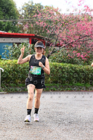 2026左岸竹東櫻花馬拉松Zhudong Sakura Marathon
