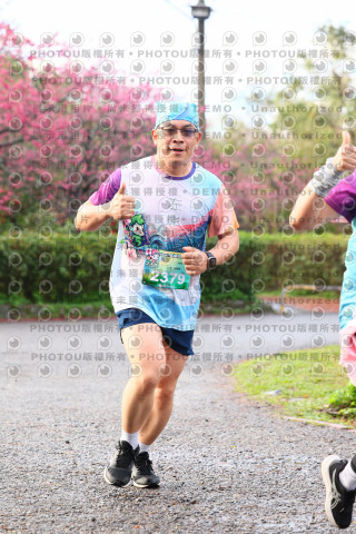 2026左岸竹東櫻花馬拉松Zhudong Sakura Marathon