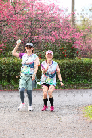 2026左岸竹東櫻花馬拉松Zhudong Sakura Marathon
