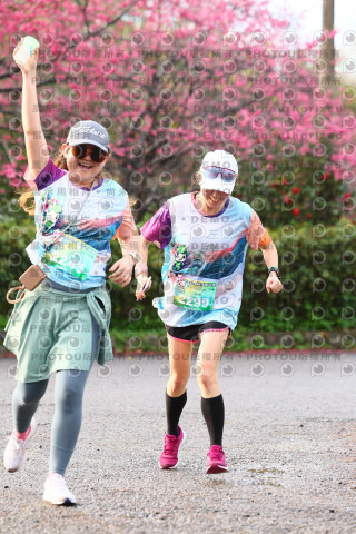 2026左岸竹東櫻花馬拉松Zhudong Sakura Marathon