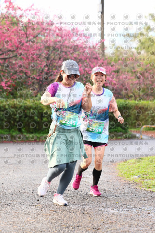 2026左岸竹東櫻花馬拉松Zhudong Sakura Marathon