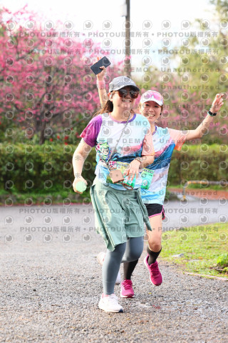2026左岸竹東櫻花馬拉松Zhudong Sakura Marathon