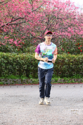 2026左岸竹東櫻花馬拉松Zhudong Sakura Marathon
