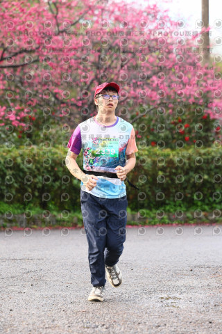 2026左岸竹東櫻花馬拉松Zhudong Sakura Marathon